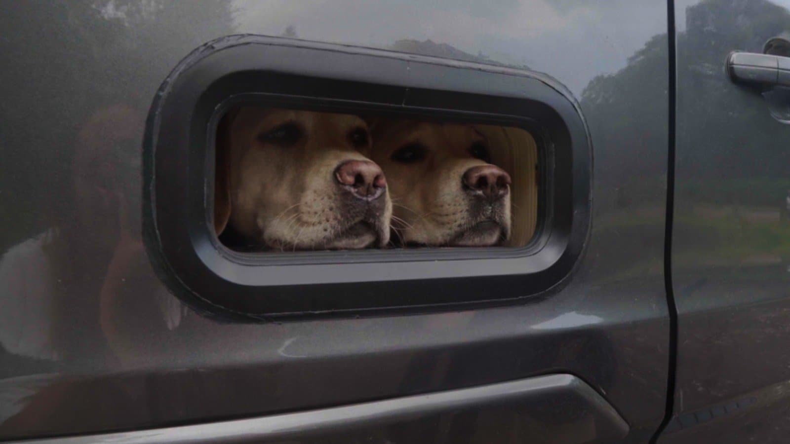 Woodrays Campers conversion example 2